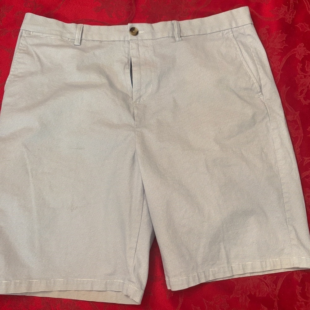 Old Navy Ultimate Slim Fit Shorts Men’s Size 40 – Light Blue